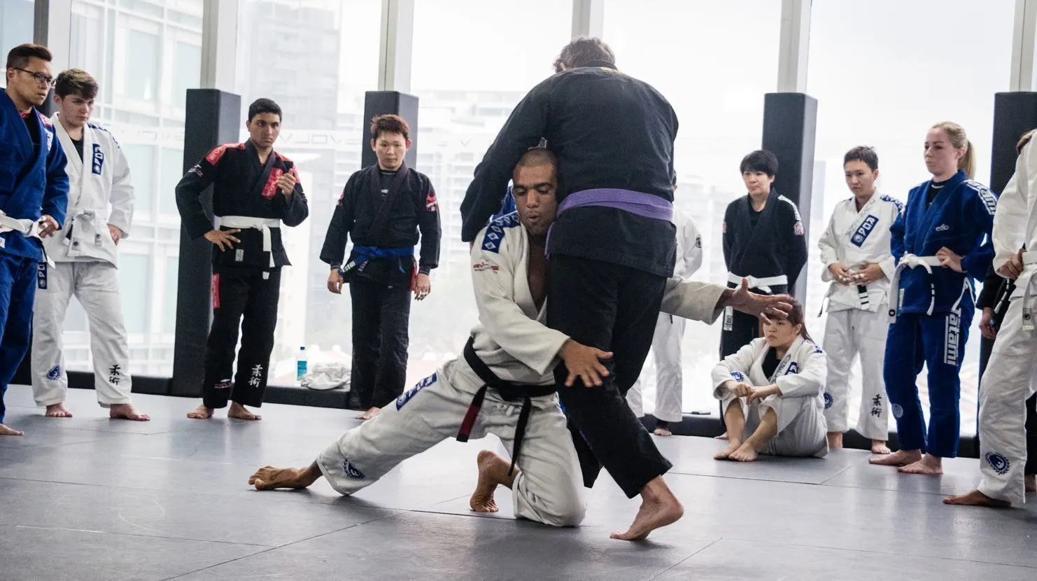 Nutrition In Jiu Jitsu Training For Landowners
