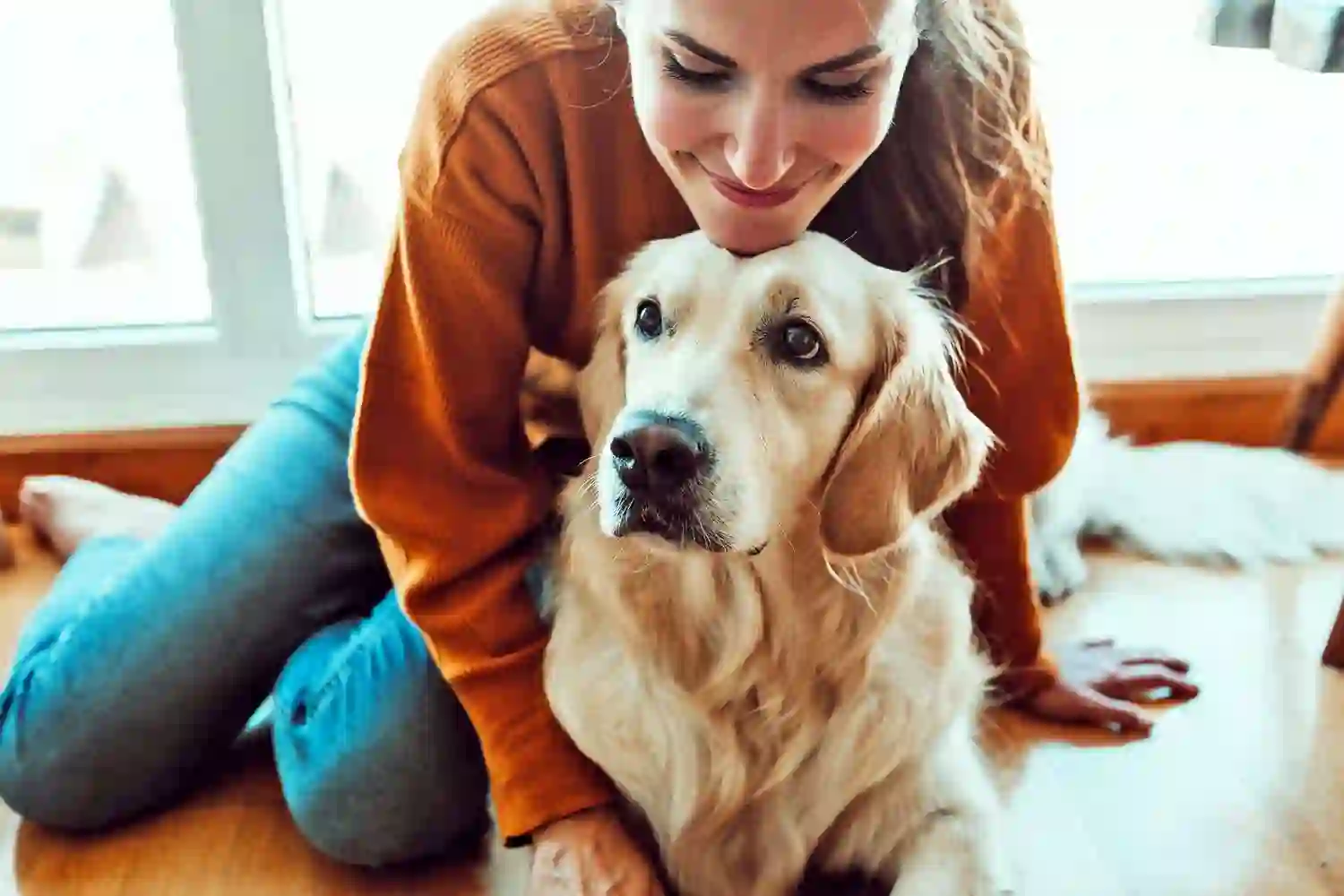 benefits of natural pain relief for pets